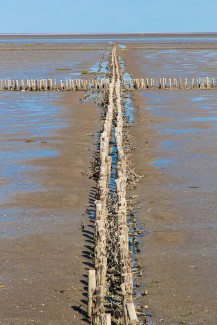 Kreuz im Wattenmeer