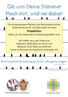 Projektchor Pfarrfest