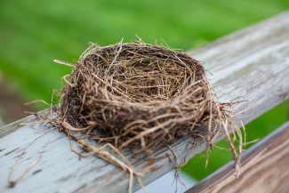 Nest